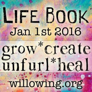 10710300_10153624552576133_4512148162835318514_o